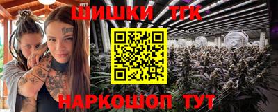 молекула духа Камышлов