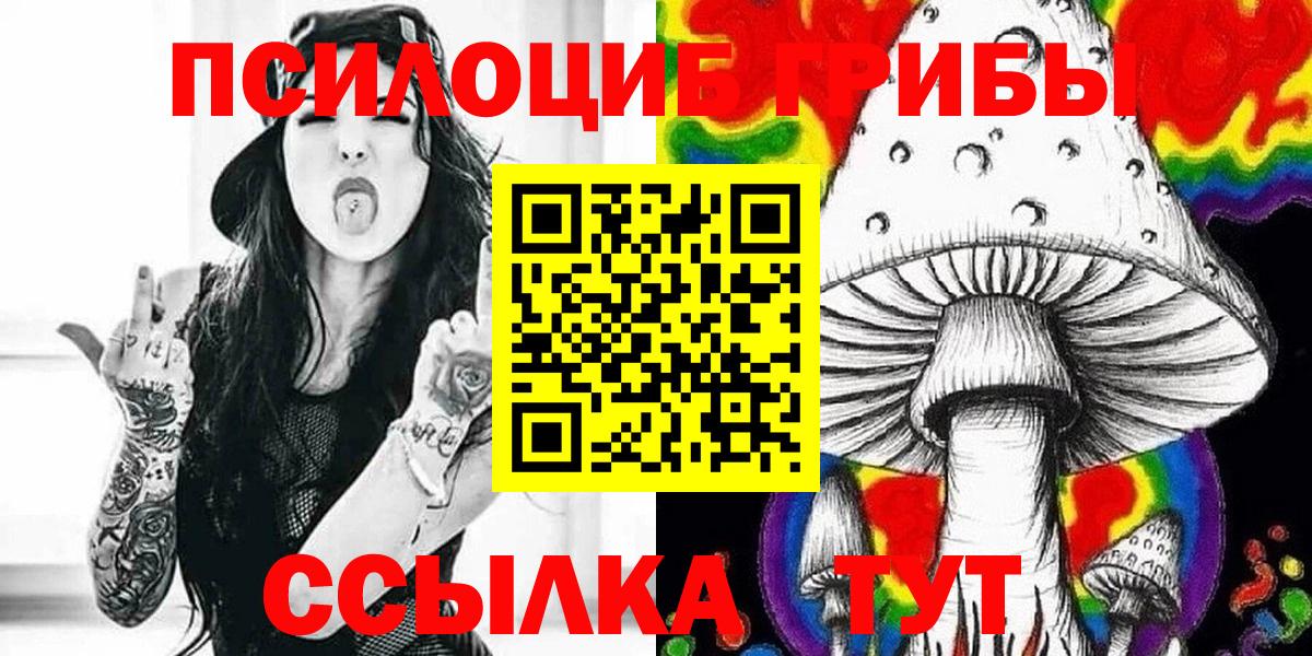 Лсд 25 Кудрово