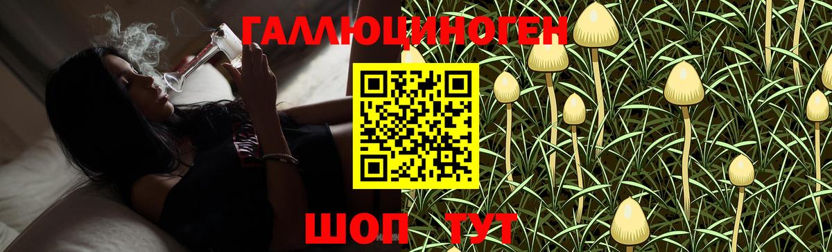 Галлюциногенные грибы прущие грибы  Вход с VPN  Псилоцибиновые грибы GOLDEN TEACHER  Кудрово 