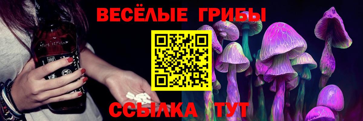 Галлюциногенные грибы мухоморы Кудрово